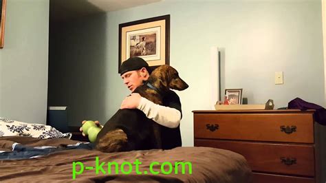 can a dog knot a human|The Dangerous Dog